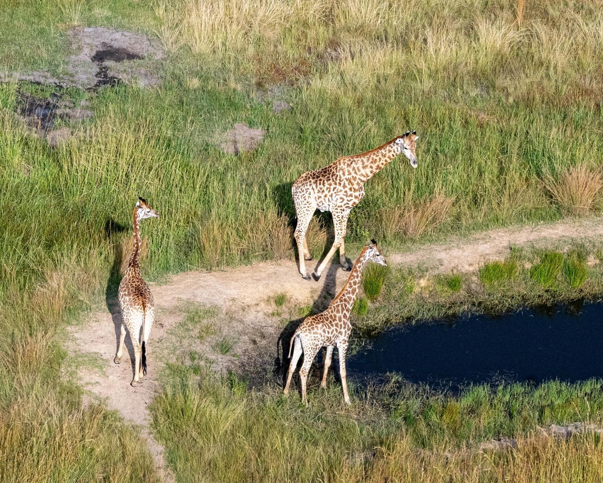 Zulu Rock Lodge - Babanango Game Reserve Ulundi Esterno foto